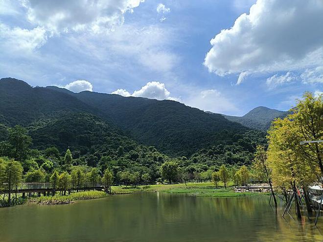 流氓兔的马拉松大冒险